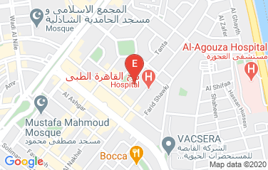 Georgia Embassy in Cairo, Egypt