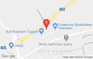 Iceland Honorary Consulate in Malmo, Sweden