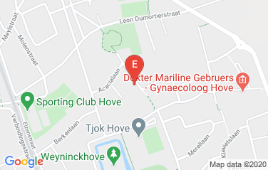 Ireland Honorary Consulate in Antwerp, Belgium