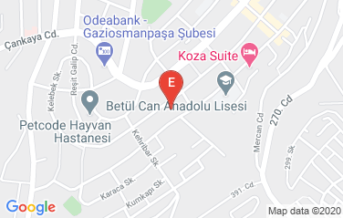 Lithuania Embassy in Ankara, Turkey