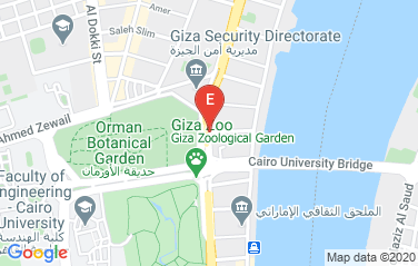 Saudi Arabia Embassy in Cairo, Egypt