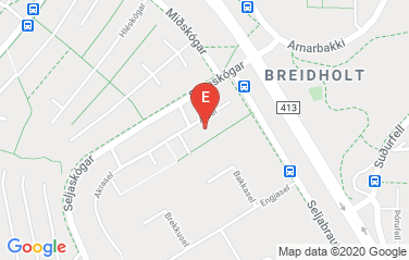 Slovenia Consulate General and Promotion Center in Reykjavik, Iceland