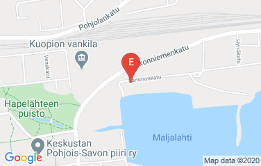 Sweden Honorary Consulate in Kuopio, Finland